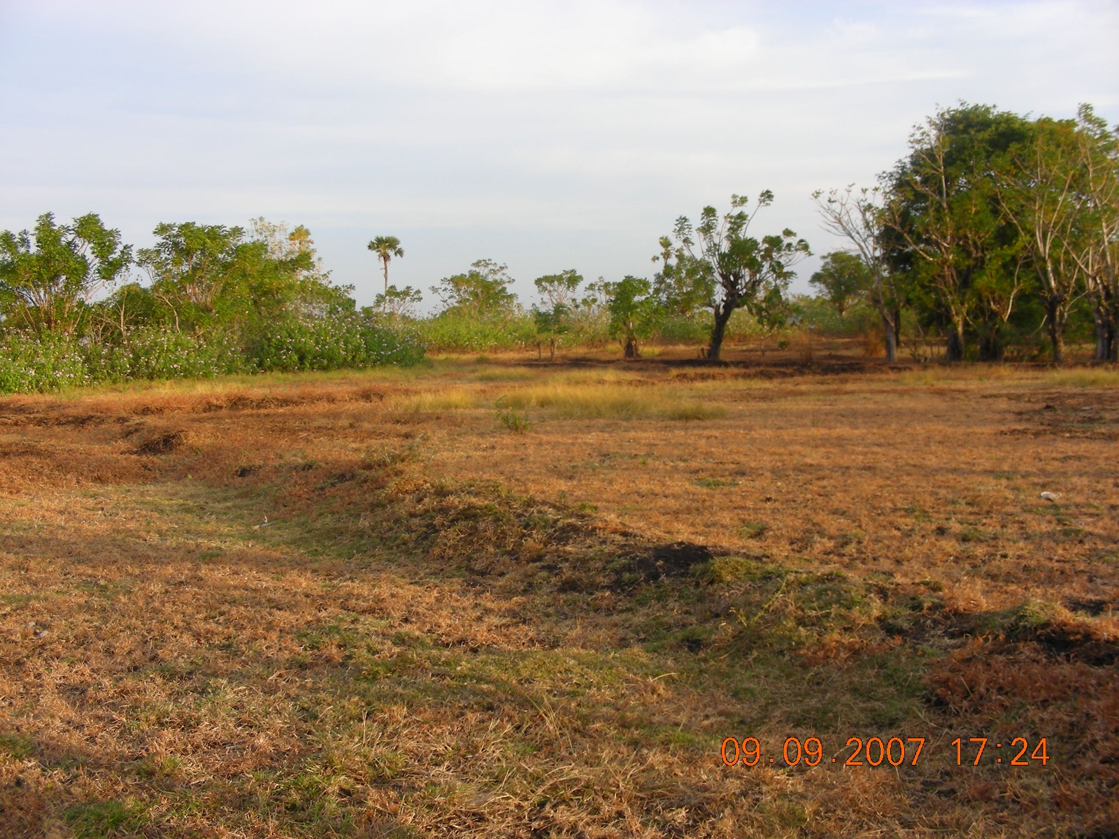 Pandala